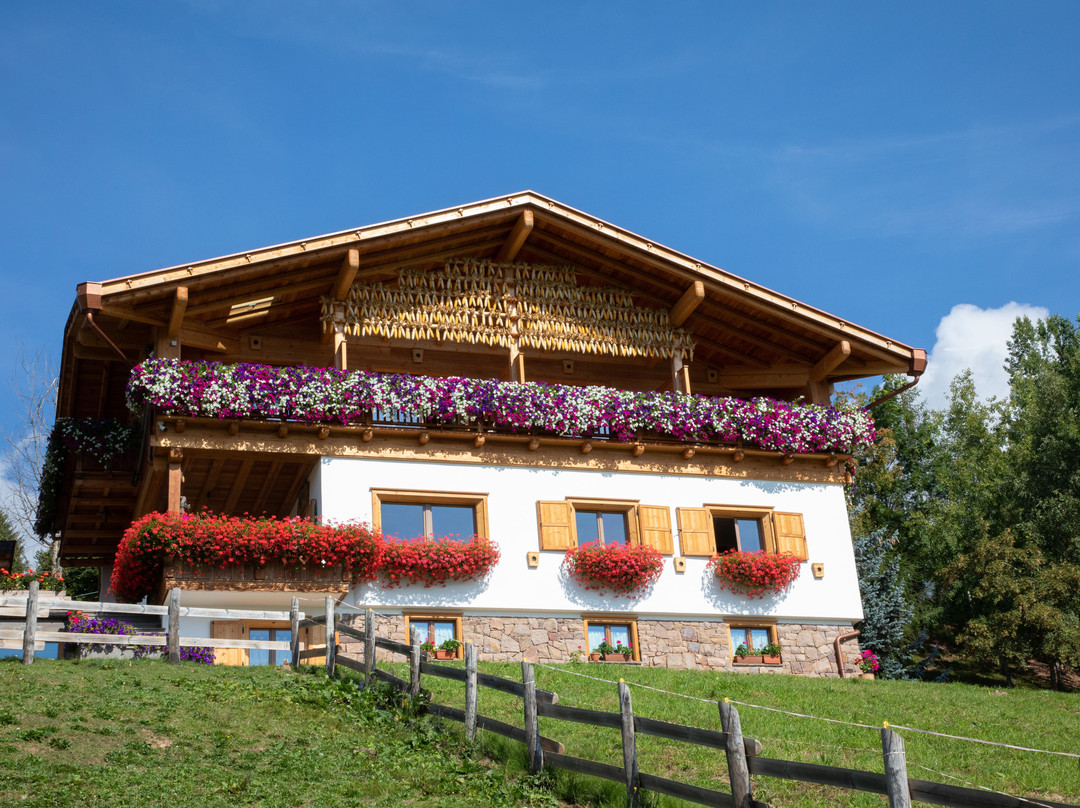 Belvedere B & B主图