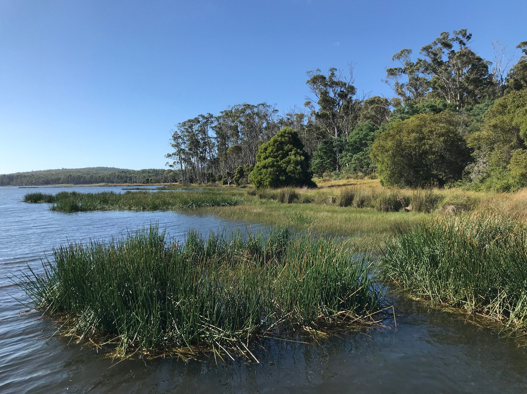 Four Springs Lake-Hagley必去景点