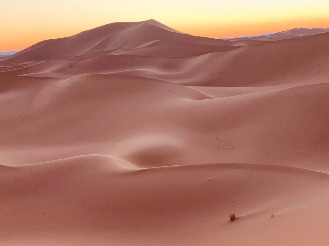 Chegaga Safaris-扎古拉必去景点