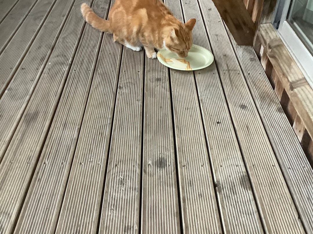 Egmont Eco Lodge主图