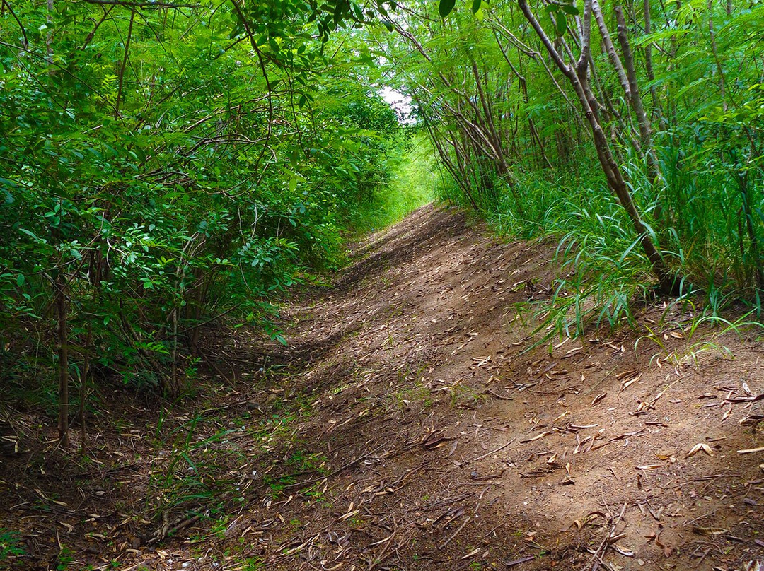 Notre Dame Du Pacifique-努美阿必去景点