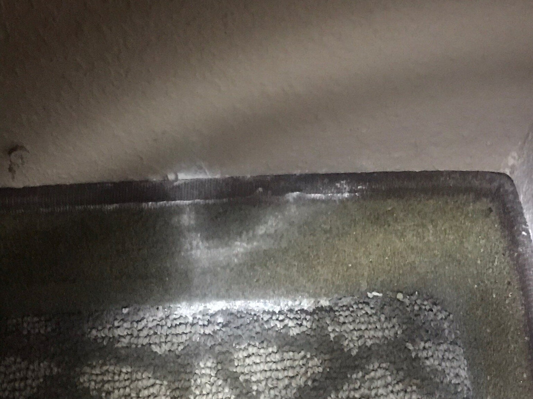 Best Western Plus Bradenton Hotel & Suites主图