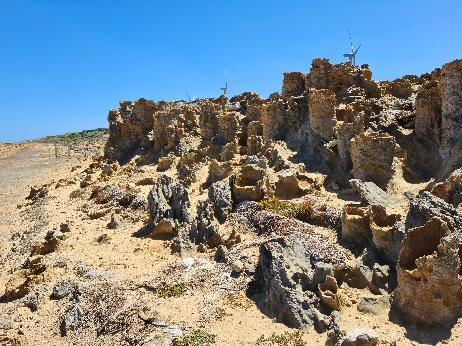 Petrified Forest and Blowholes-Cape Bridgewater必去景点
