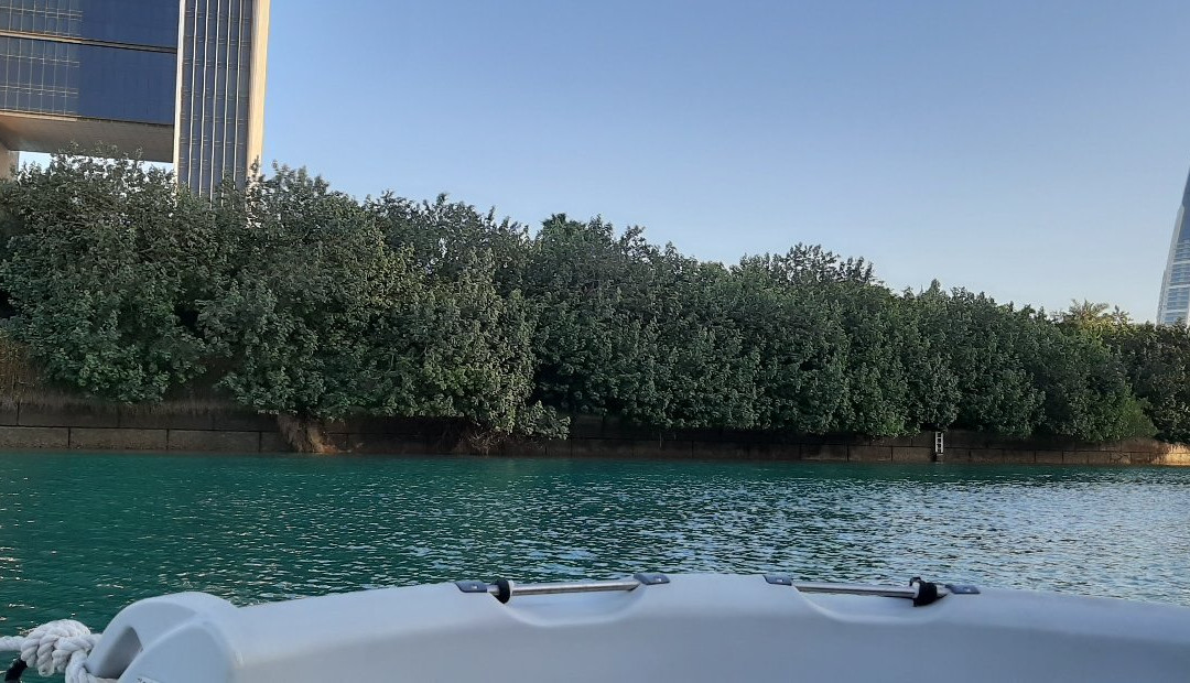 Dough (A Delightful Ride)-麦纳麦必去景点