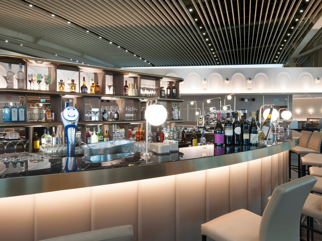 Plaza Premium Lounge (Extra Schengen Area, Departures, Terminal 3)-菲乌米奇诺必去景点