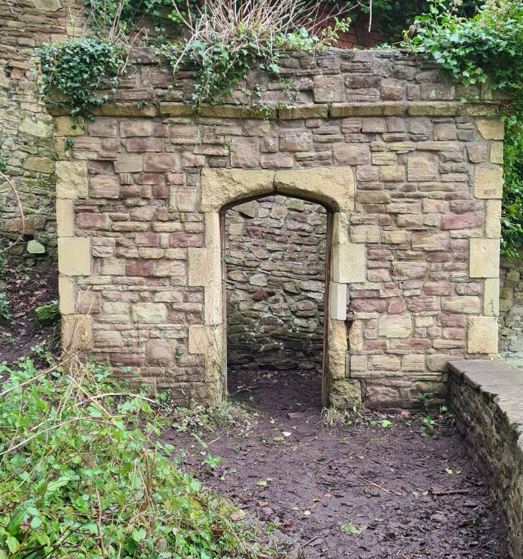 Bennett's Patch and White's Paddock-布里斯托尔必去景点