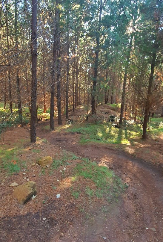 Bright MTB - Mountain Bike Guiding & Instructing-布赖特必去景点