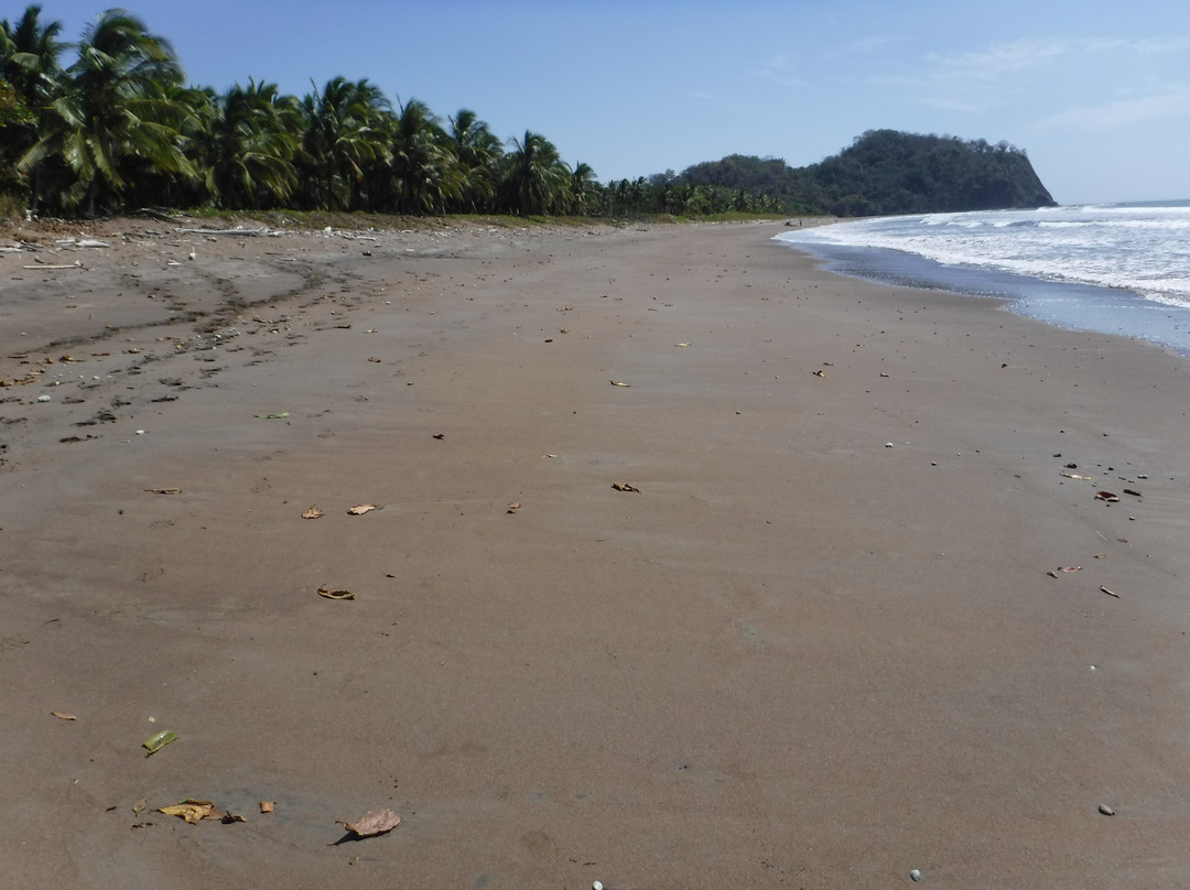 Playa Buena Vista景点图片