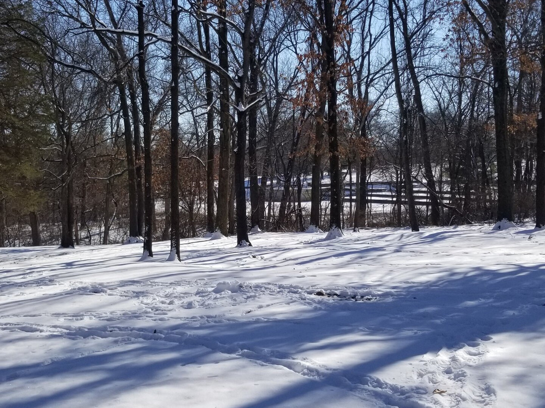 McDonnell County Park景点图片