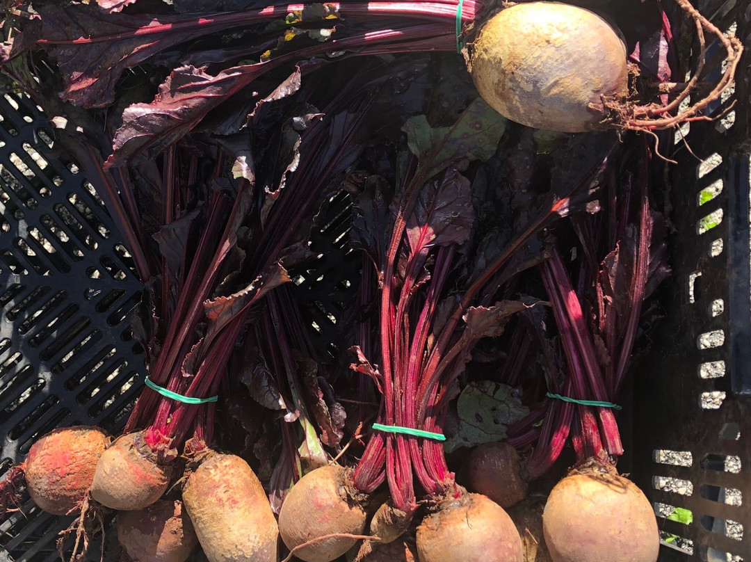 Mercato Del Contadino-Casa Santa必去景点