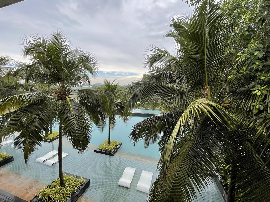 阿丽拉 迪瓦果阿 . 印度主图