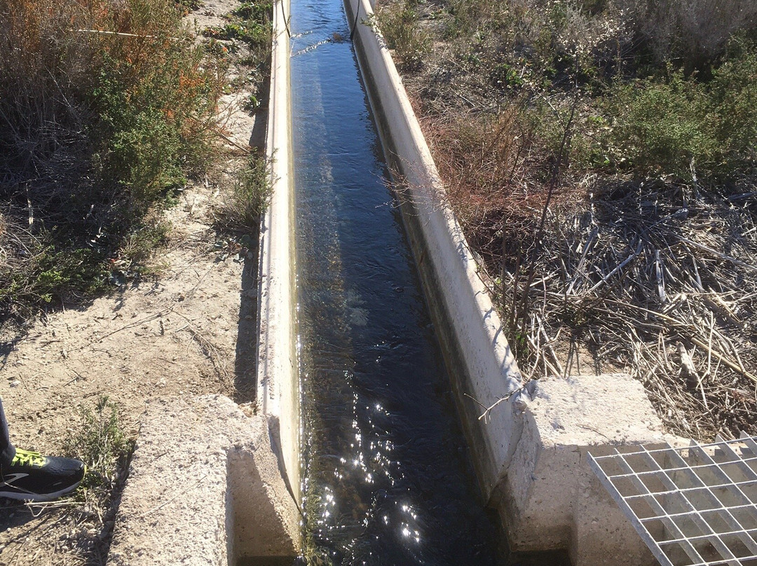 Parque Natural el Hondo-Crevillente必去景点