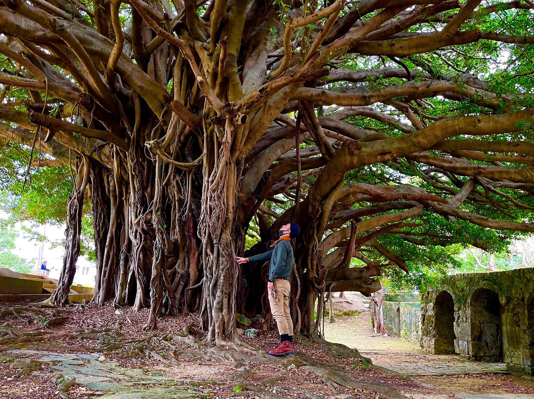 Stone gate, Old Sogenji Temple-那霸市必去景点