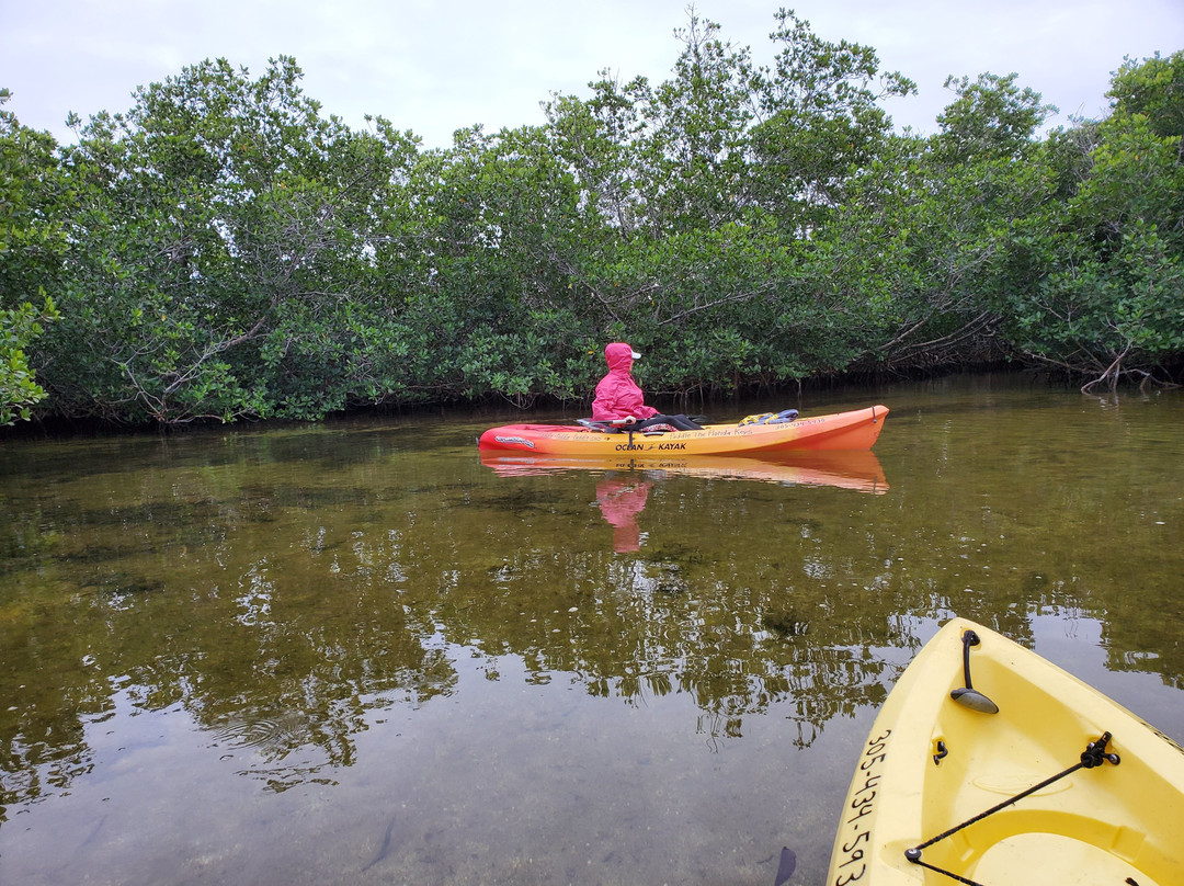 PADDLE! The Florida Keys-Tavernier必去景点