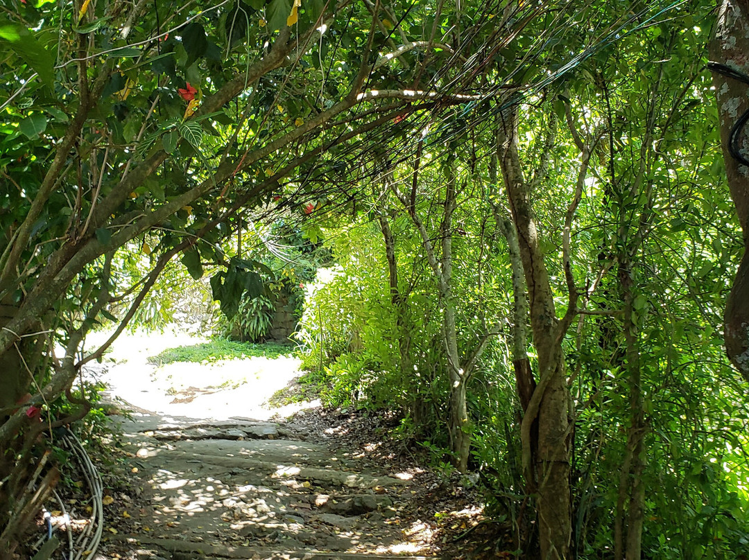 Morro das Andorinhas-尼泰罗伊必去景点