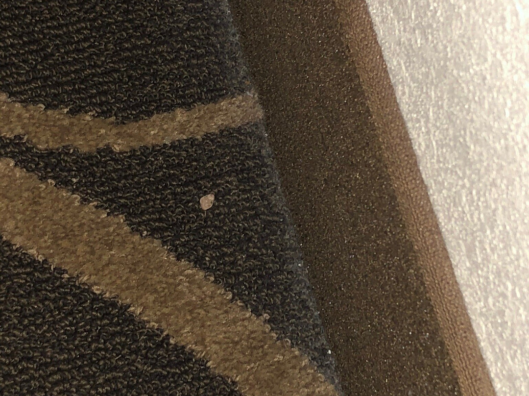 Best Western Plus York Hotel & Conference Center主图