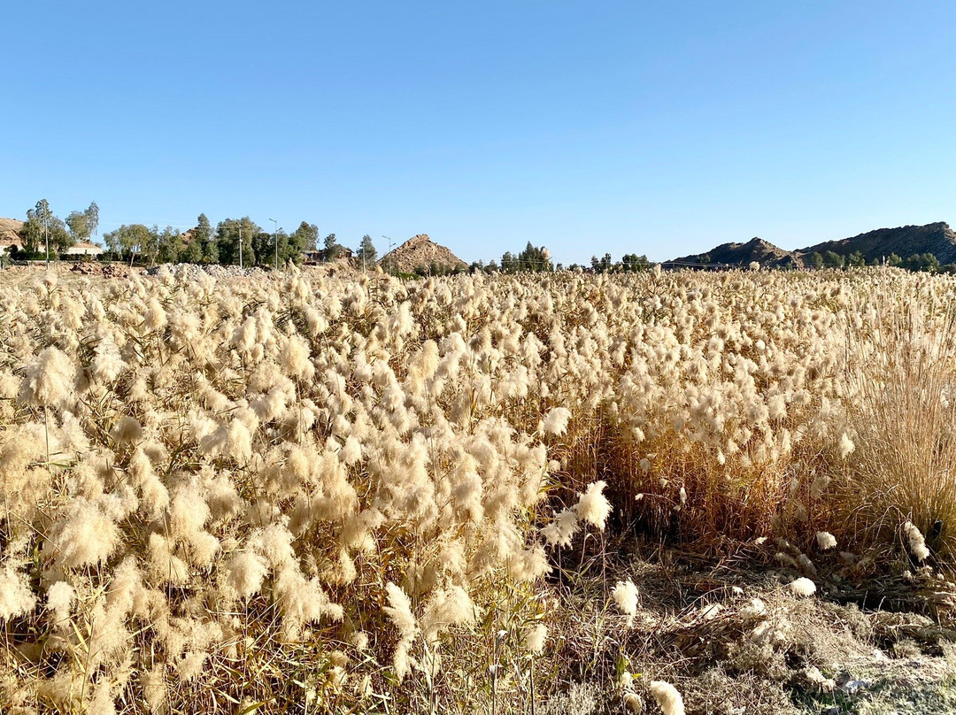 Water Mill Of Qazy-Ba'qubah必去景点