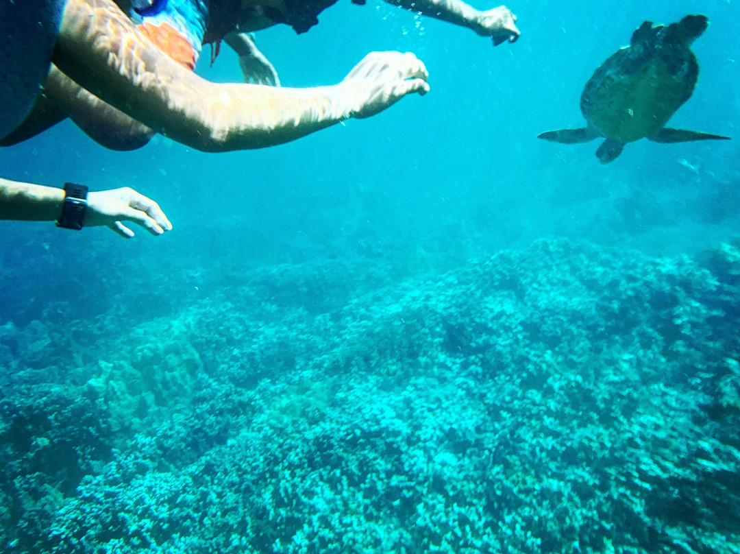 Zephyr Maui-基黑必去景点