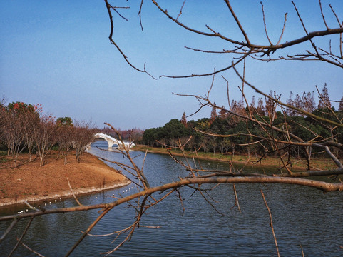 海湾国家森林公园-上海市必去景点