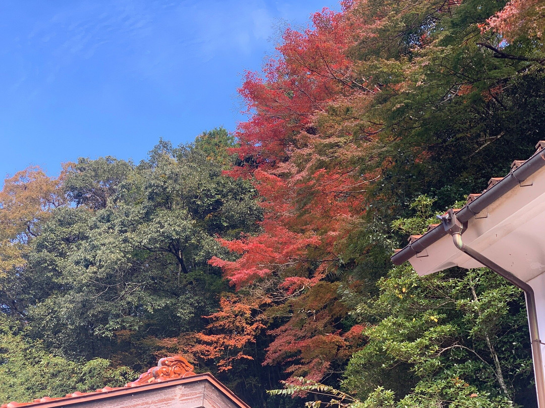 Hori Teien Garden-津和野町必去景点
