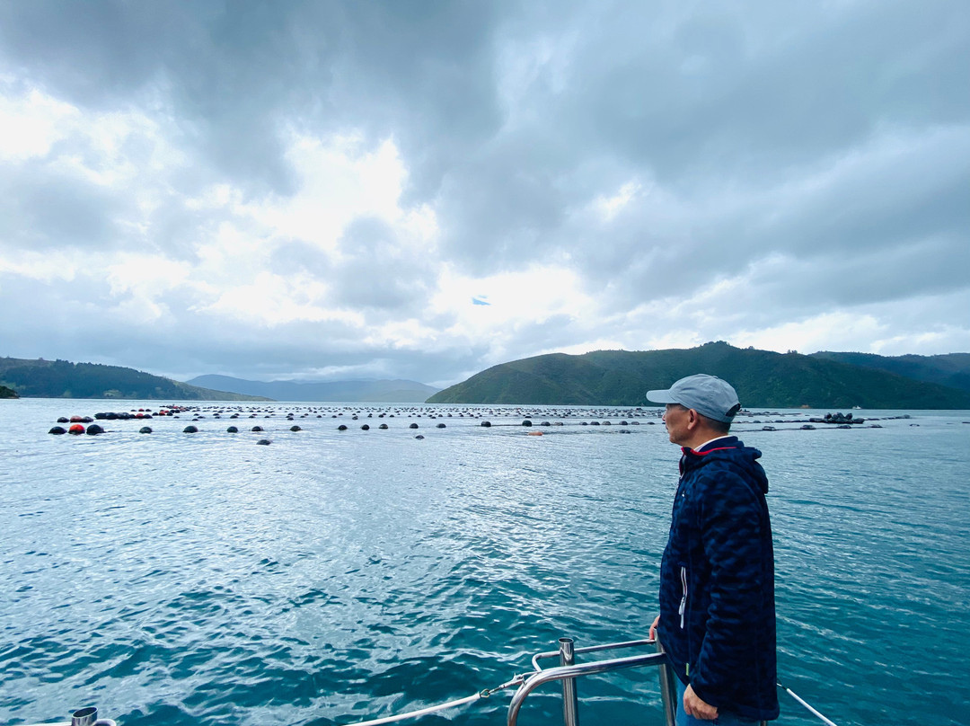 Seafood Odyssea Cruise-皮克顿必去景点