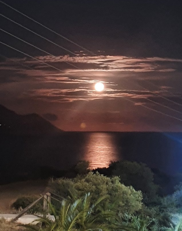 Hotel Maistrali主图