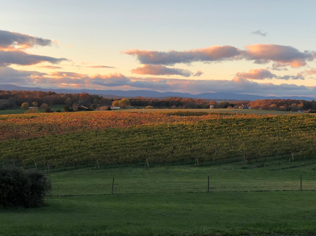 Barren Ridge Vineyards-Fishersville必去景点