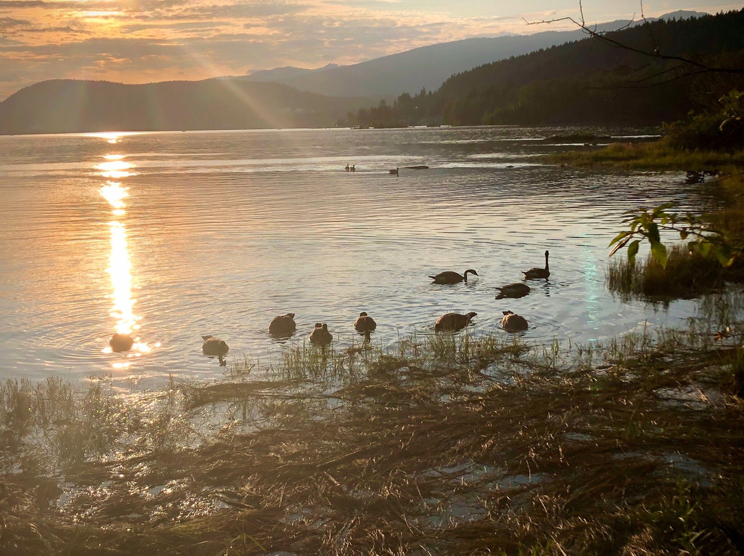 Shoreline Park-穆迪港必去景点