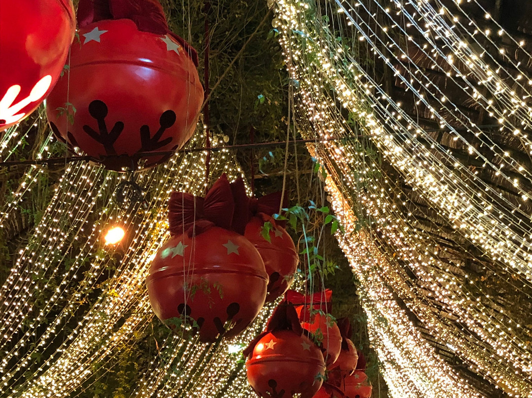 Espectaculos de Natal Luz-格拉玛多必去景点