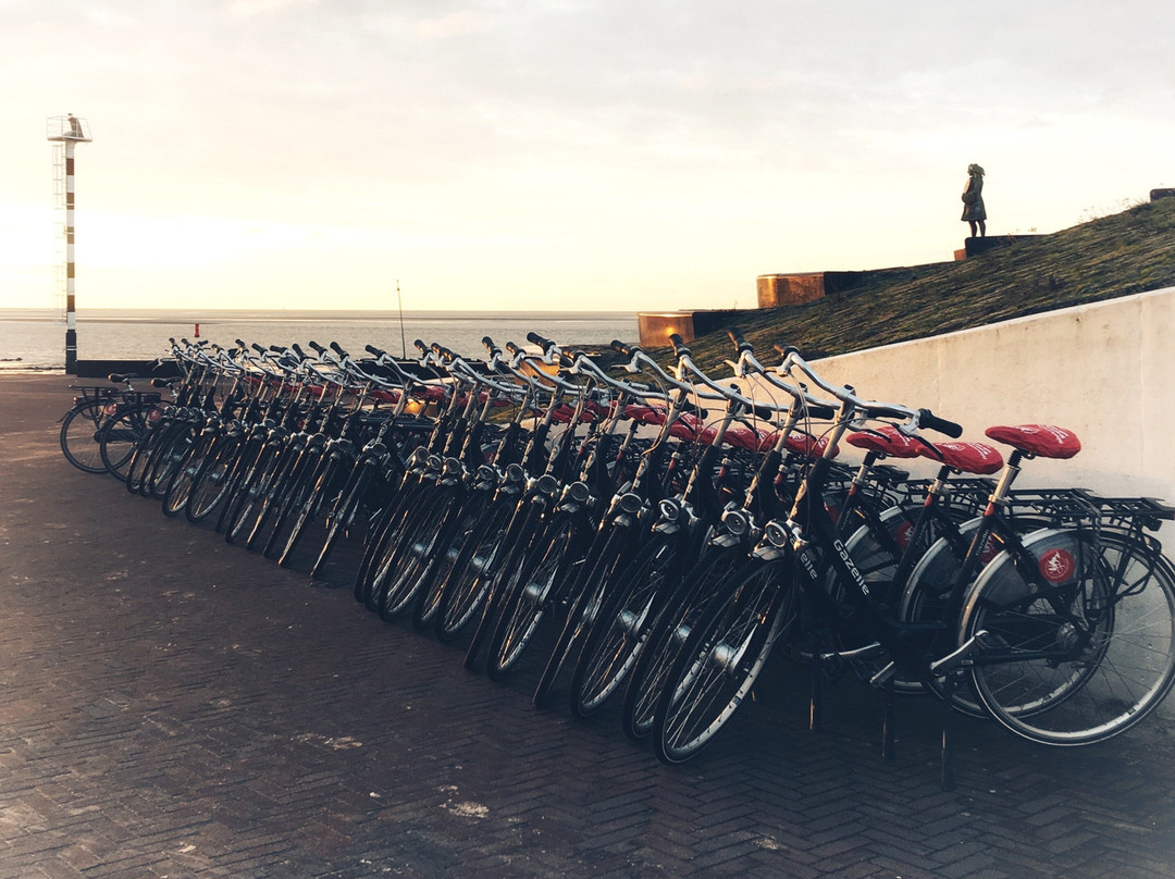 Fietsverhuur Jan van Vlieland-弗利兰岛必去景点