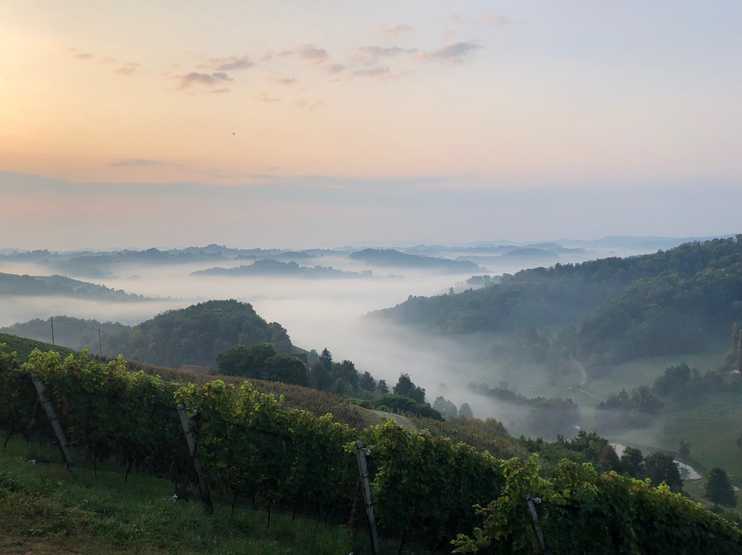 Winzarei Weingut Tement主图