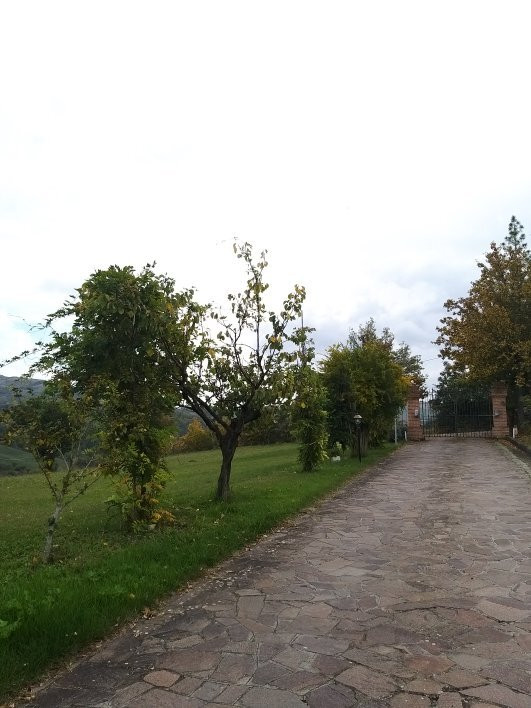 Agriturismo Prato degli Angeli主图