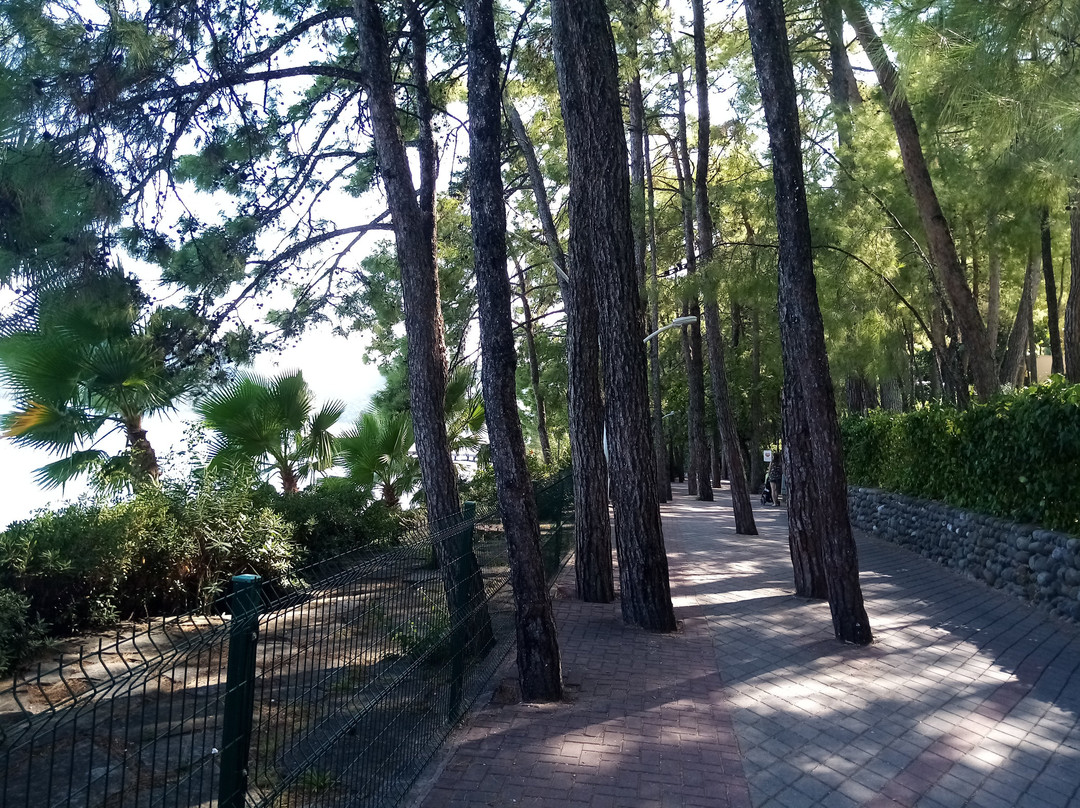 Marmaris Mountains景点图片