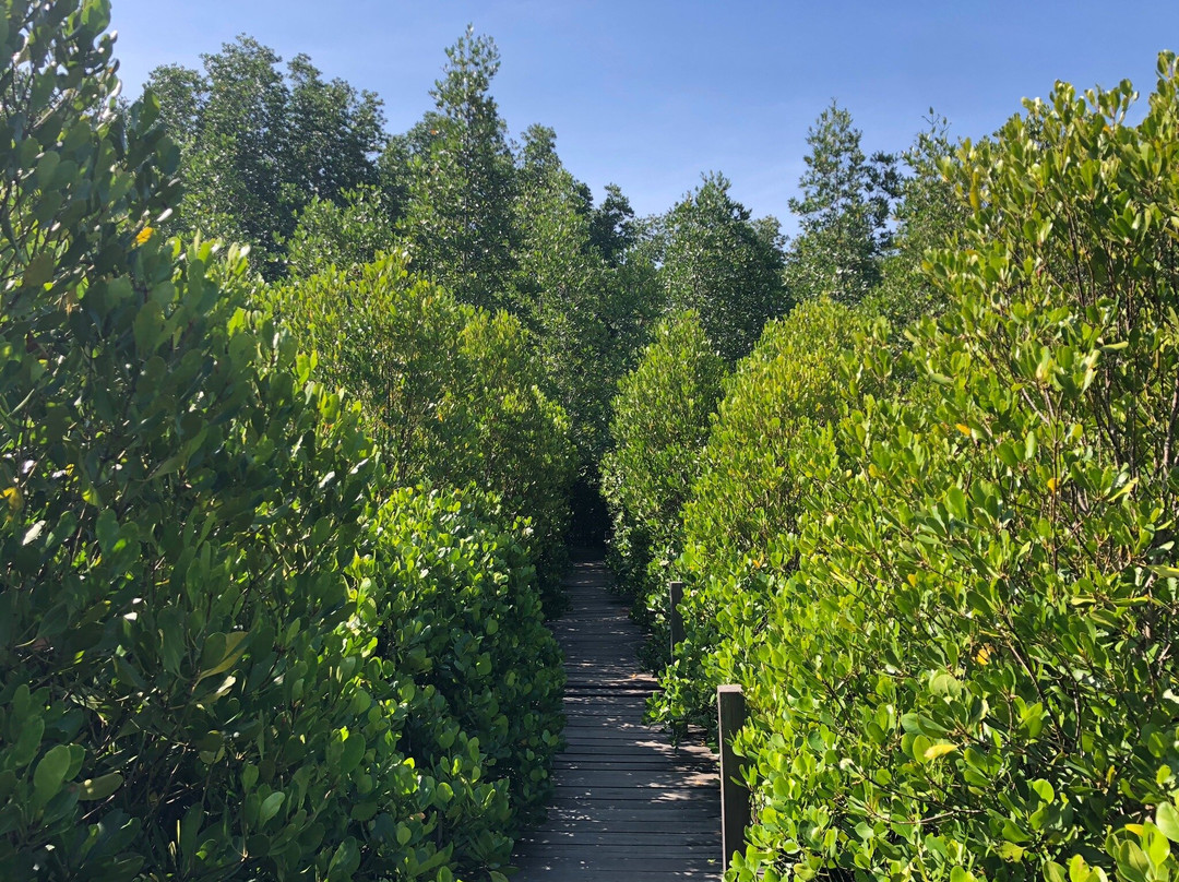 Tung Prong Thong-Ban Pak Nam Krasae必去景点