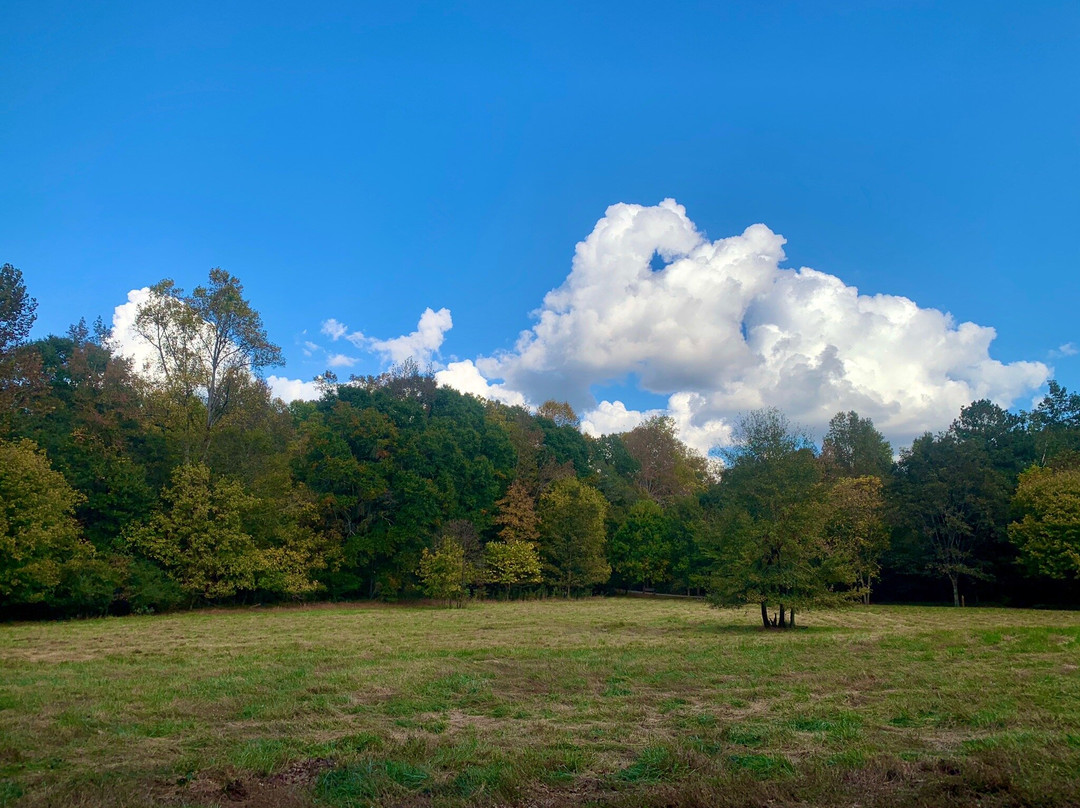McDaniel Farm Park-杜鲁斯必去景点