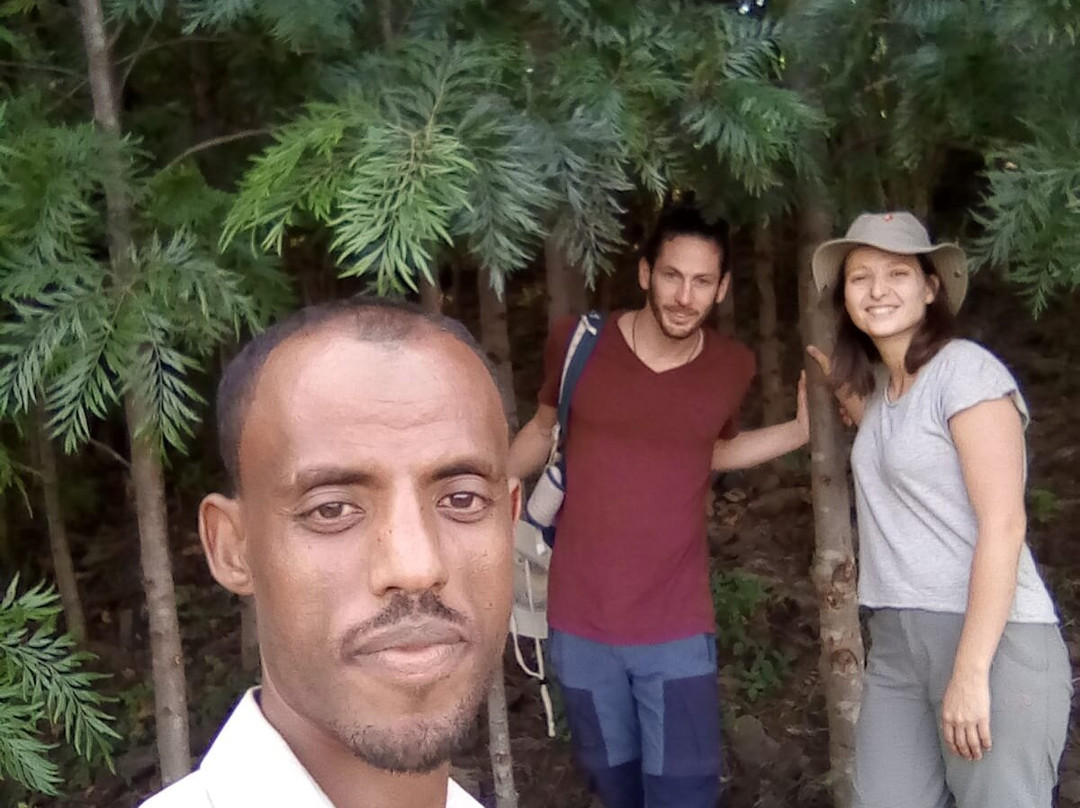 Awra Amba Tours-巴哈尔达尔必去景点