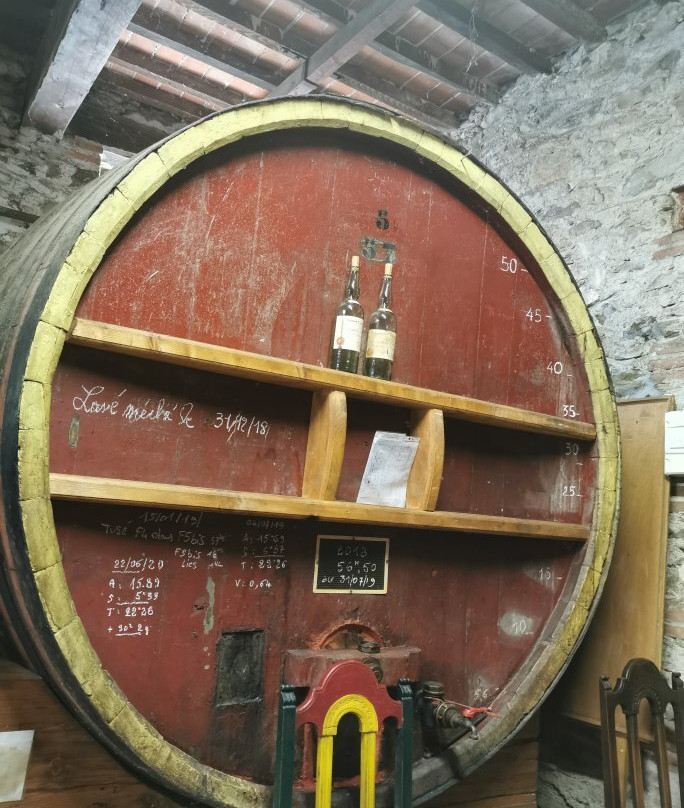 Domaine Berta Maillol景点图片