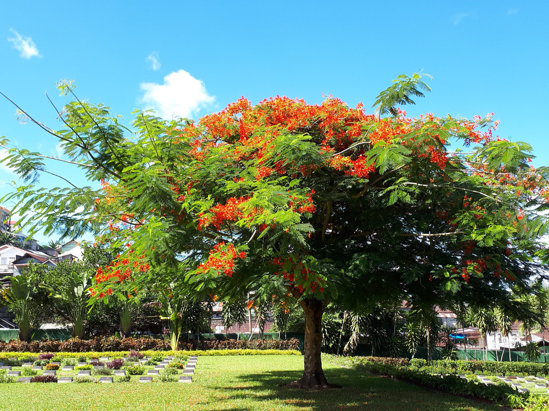 Commonwealth War Cemetery-安汶必去景点