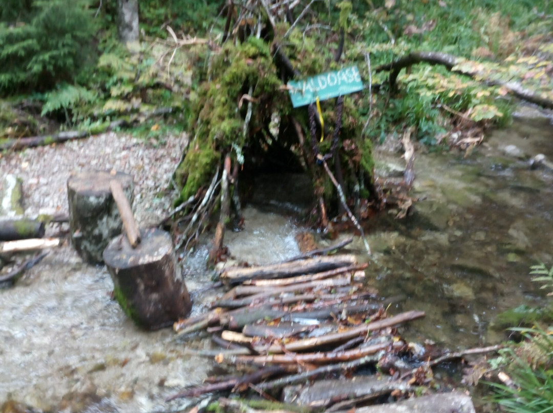 Schluchtensteig-Stuehlingen必去景点