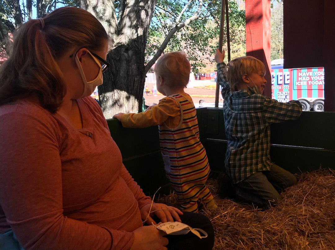 Burt's Farm-道森维尔必去景点