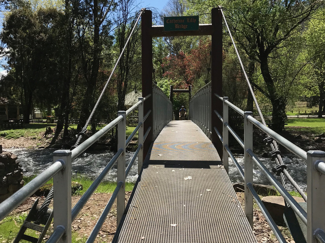 Tavare Park-Harrietville必去景点