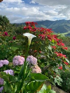 Monte Gracia Wellness Hotel & Spa主图