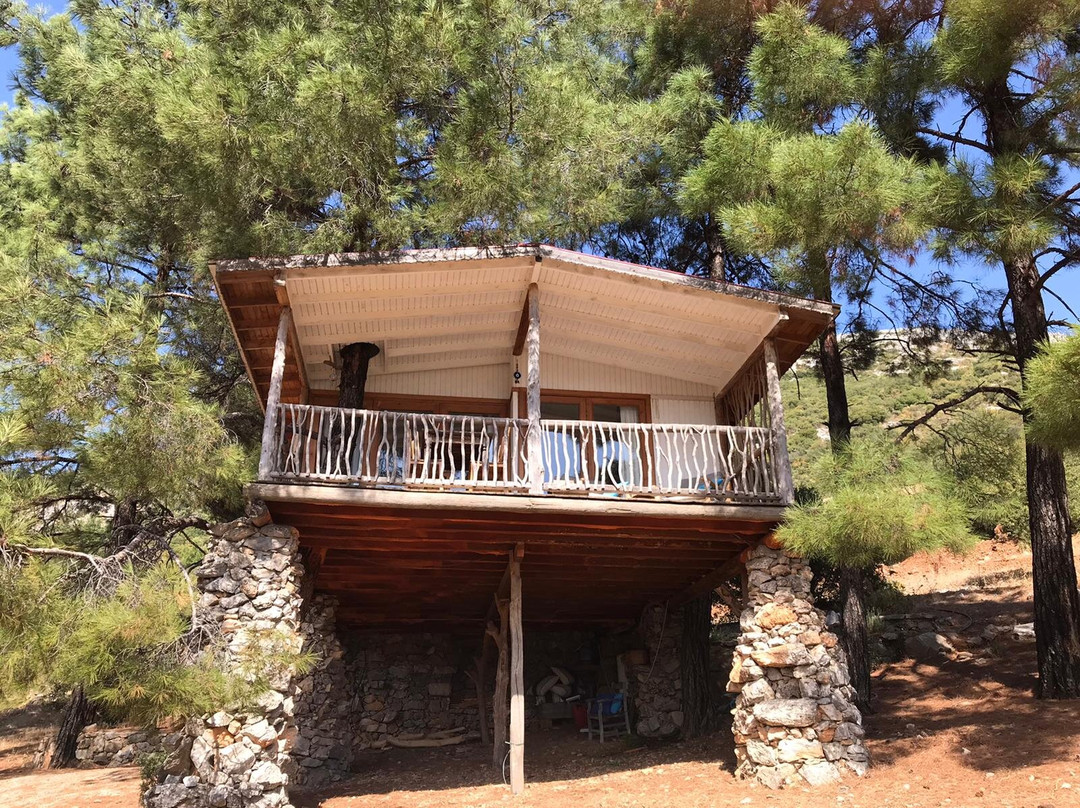 Yenice Vadi Natural Life Village主图