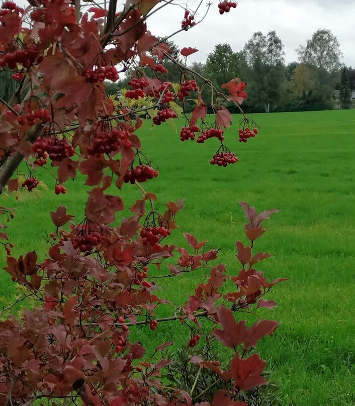 Hageven-De Plateaux-Neerpelt必去景点