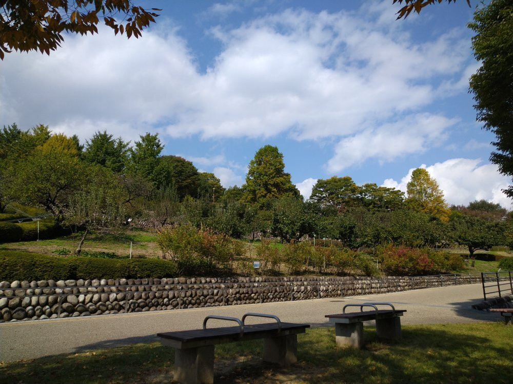 Yamanashi Fuehukigawa Fruit Park景点图片