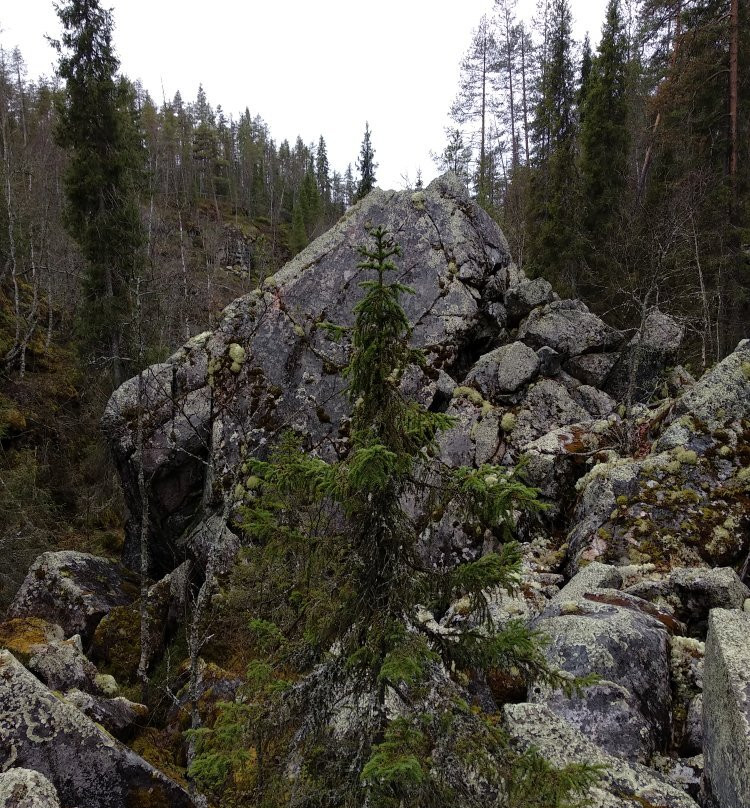Auttiköngäs-罗瓦涅米必去景点