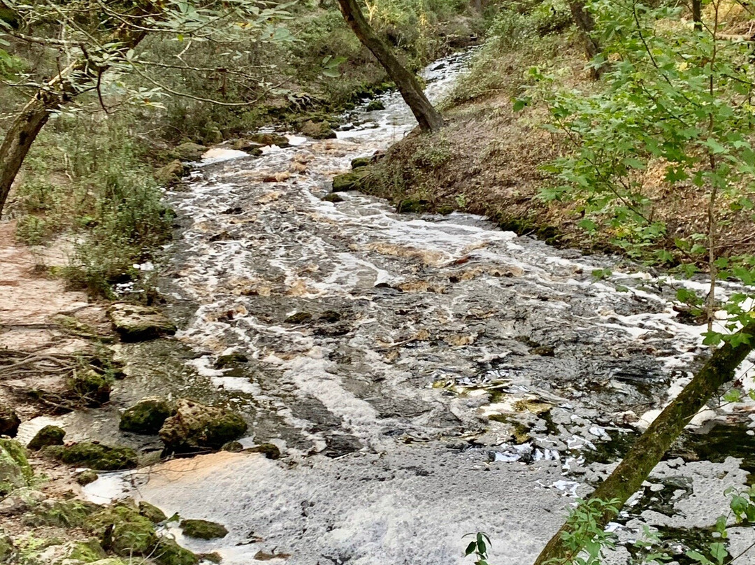 Falling Creek Falls景点图片