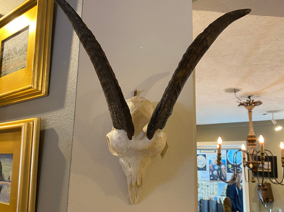 Sesame and Lillies-坎农比奇必去景点