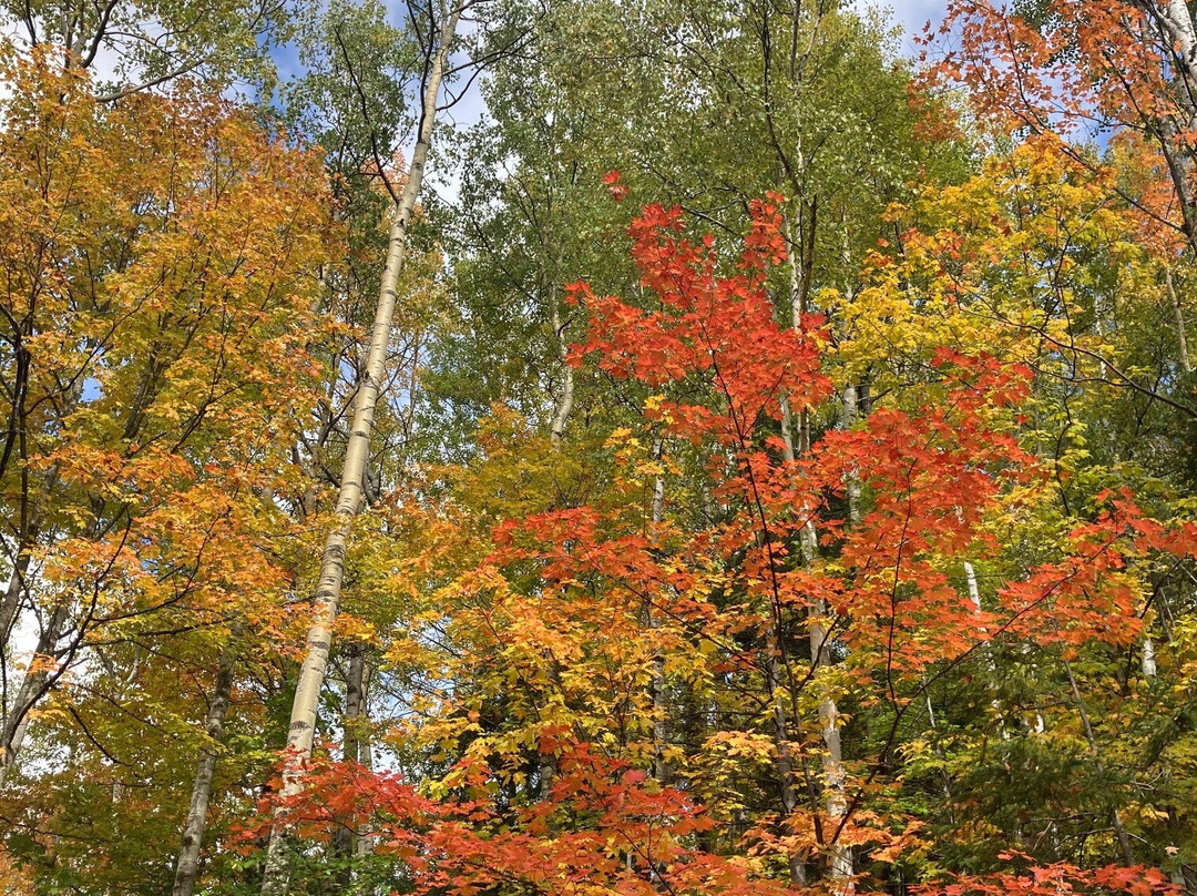 Morgan Falls-Marquette必去景点