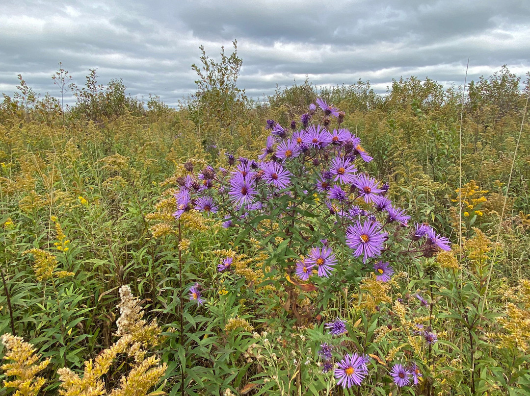 Swine Creek Reservation-Middlefield必去景点